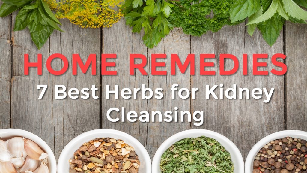 7 Best Herbs for Kidney Cleansing