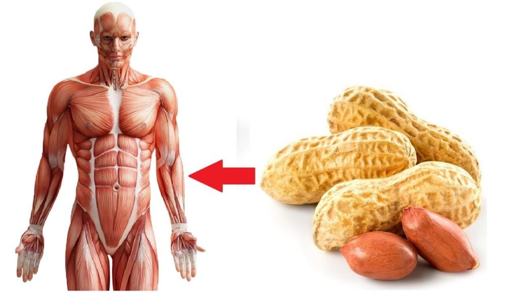 What Happens to Your Body When You Start Eating Peanuts Every Day