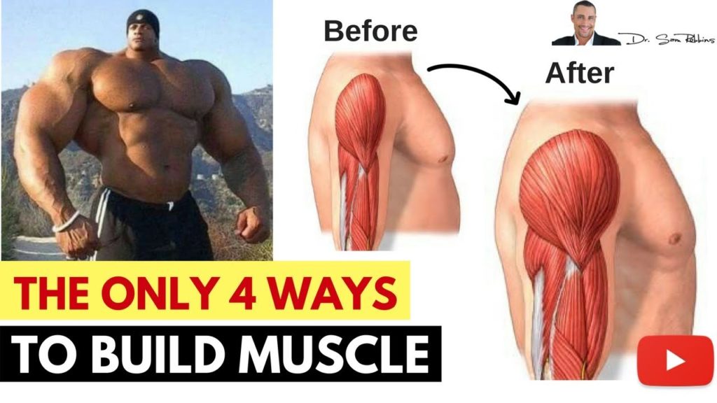 Doctor Reveals the only 4 Ways to Build Muscle