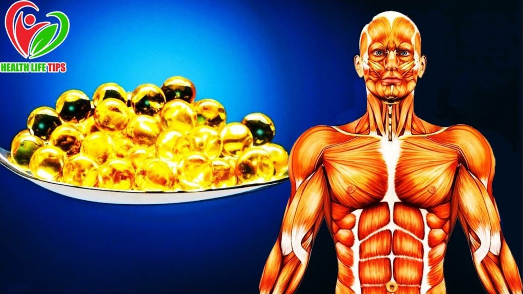 What Happens to Your Body When You Start Taking Fish Oil Everyday