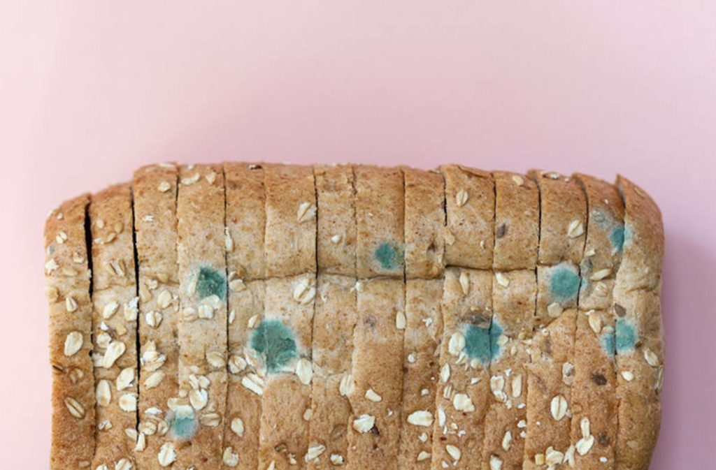 What happens if you eat moldy Bread?