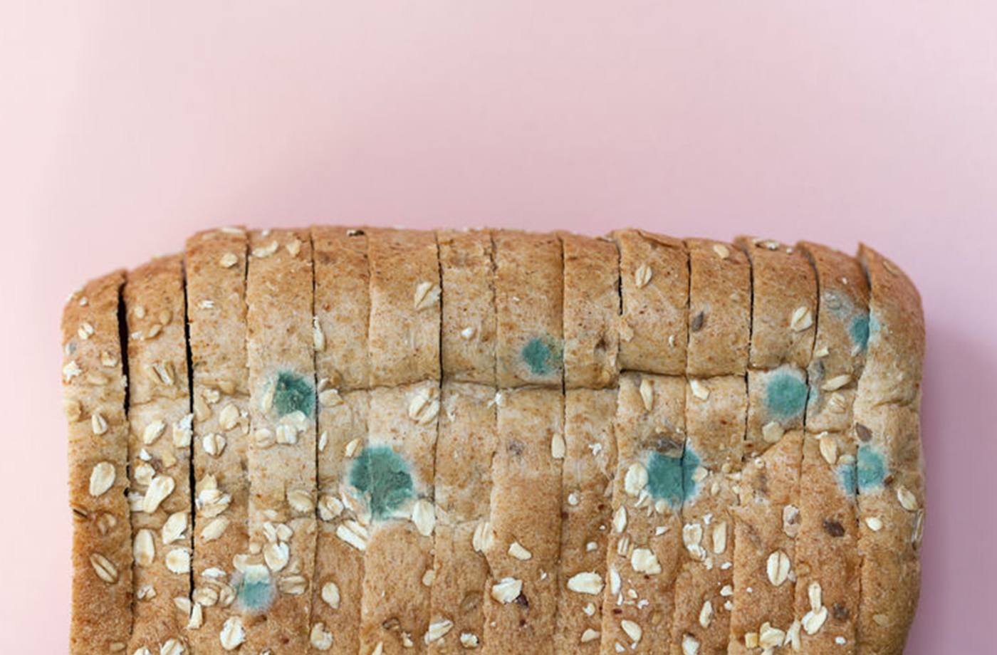 what-happens-if-you-eat-moldy-bread-sports-health-wellbeing