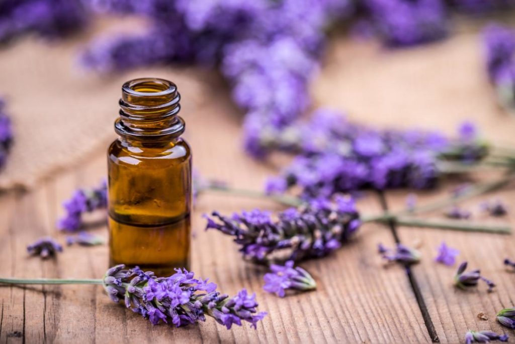 10 Lavender Essential Oil Uses & Healing Benefits you need to know!