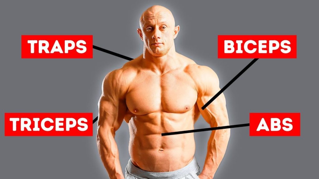 Exercises to Hit Every Single Muscle in Your Body