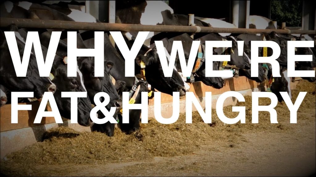 Why we get Fat and Hungry | (Biology of Weight Gain & Low-Carb )