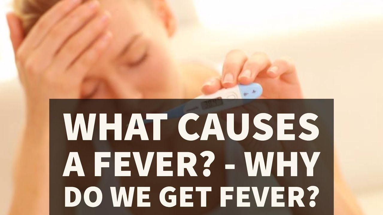 What causes a Fever? Sports Health & WellBeing