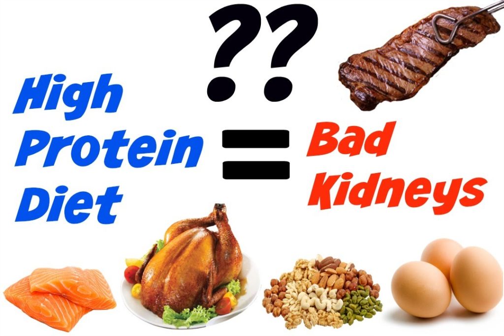 High Protein Diet Bad?