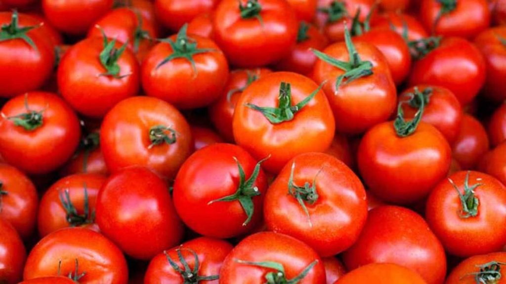 Eat one Tomato a Day, see why it’s Good for You